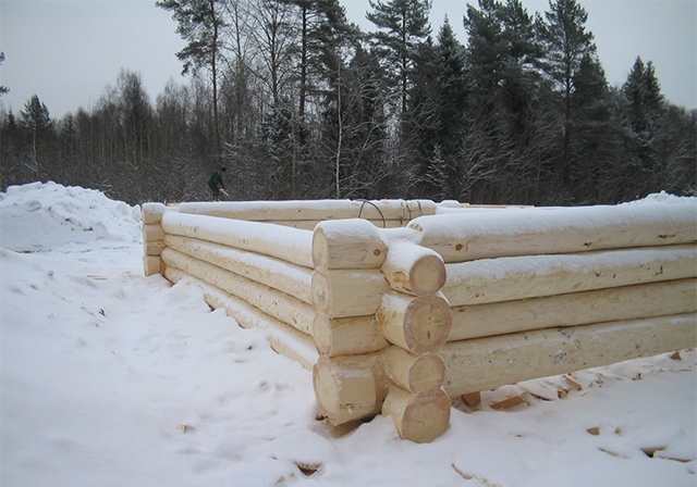 строительство из зимнего леса